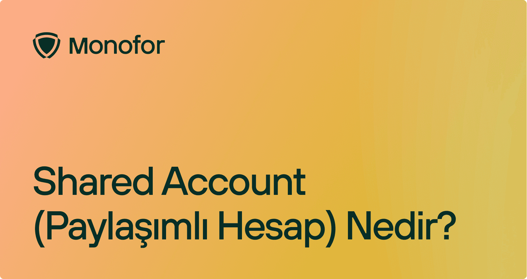 Shared Account (Paylaşımlı Hesap) Nedir?